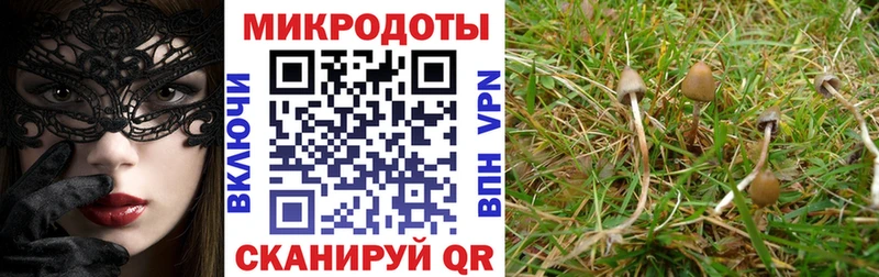 Галлюциногенные грибы Cubensis магазин наркотиков Борисоглебск